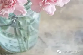 如何将鲜花养护的更长久（二）图片