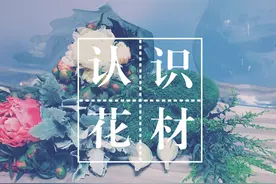 原创｜芍药花盒的制作教程图片