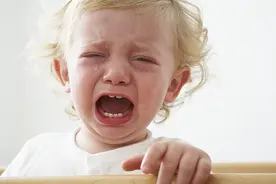 嘴上尖酸刻薄，但内心宽容温厚的生肖图片