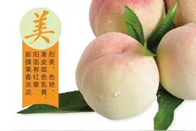 水蜜桃界天霸动霸tua之阳山水蜜桃—— 你怎么了？图片