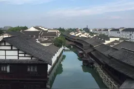 你见过没有壳的蜗牛吗？你见过大黄鸭的妹妹吗？图片