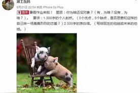 高校暑假作业写情书，比起学富五车，在大学我们更应学会什么？图片