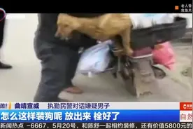 真的是偷鸡摸狗！衣服里藏鸡被发现视频封面