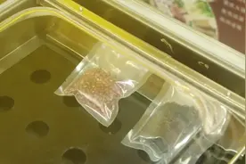 浩博大米真空包装机操作技术视频