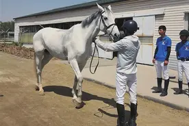 国家二级马术裁判员培训班在银开班图片