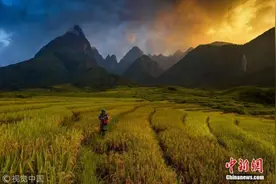 五一将至 驻越南大使馆提醒避免盲目参加廉价团图片