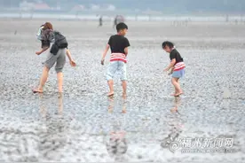 “五一”假期福州连江赶海体验游客爆棚图片