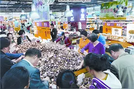 农业厅将建三级联动机制解决蔬菜滞销 10吨洱源爱心蒜今起上架图片