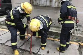 猫坚强！喵星人被困地下5年获救  好心人每天投喂图片