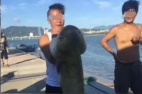 杭州富春江惊现巨大“鲶鱼精”图片