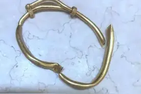 80岁奶奶在家被掳走金手镯 下手的竟是住家保姆图片