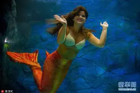 巴西圣保罗水族馆美女扮美人鱼 吸引游客观赏图片