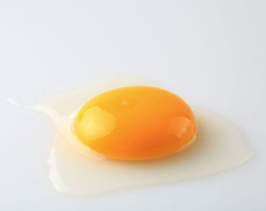 一个鸡蛋能够满足当天的氨基酸的需求