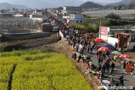 凉山德昌农耕节数万人赶场 这些农具你认得几个？图片