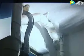 手臂粗的毒蛇竟然在惠州一小区出没 竟是16斤眼镜王蛇图片