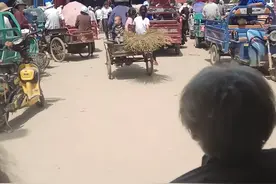 太和县倪邱镇三月二十八古庙会，也特别热闹哟！视频封面