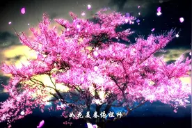 《秦淮河畔》曲悠扬视频封面