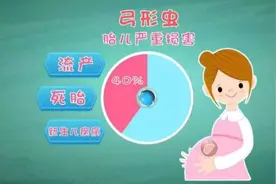 科普养猫猫狗狗真的会感染弓形虫吗？怀孕了必须要送走家中宠物吗？图片