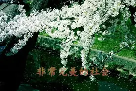 又火了，最新出的《社会顺口溜》唱得太好了，越听越好听！视频封面