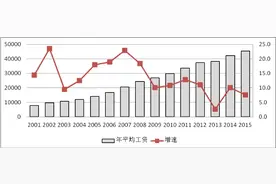 2015年河南省城镇非私营单位就业人员年平均工资为45403元图片