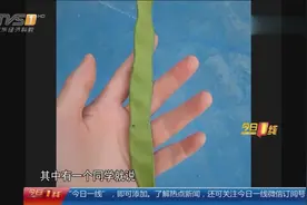 长得像豌豆却有毒 孩子误食紫荆花豆荚 抢救及时救一命视频封面