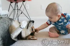 生日性格：6月21日出生的人图片