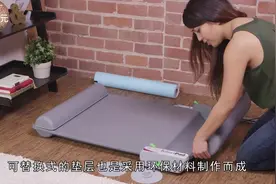 养狗必备神器：自动清洁厕所，还能隔绝臭气，再也不用做铲屎官了视频封面