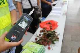 奇！上午斗门一男子吃荔枝被酒驾，交警是这样说的..........图片