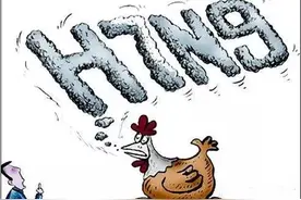 天津、北京分别发现H7N9禽流感病例图片