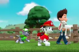 汪汪队立大功：赛车比赛毛毛赢了 回过头来发现灰灰和莱德不见了