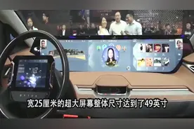 这车自带49寸大电视，车内全是大屏幕，只卖三十万