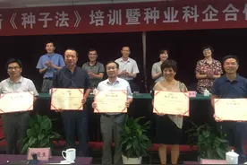 浙江好品种Top 10，你心动了吗？图片