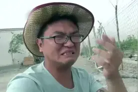 体验一下被大鹅咬是什么感觉