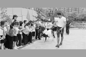 身材似大狗，性格很温顺两匹小矮马入驻杭州滨和小学图片