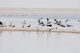 青海湖面积达近18年来同期最大值图片