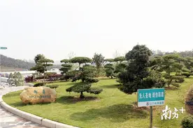 江门市民全年可为先人报名骨灰生态葬法，有500元补贴图片