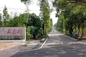村民不光收租，还有分红？珠海乡村振兴“国字号”项目有何玄机图片