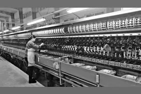 陕西蚕桑产业光耀古丝路图片