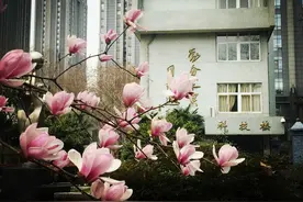 南京市第九中学：最受学生欢迎的城市高中图片