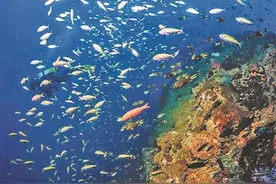 飞临仙境 探索大堡礁美丽之心图片