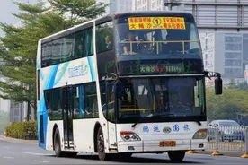 最后的柴油双层巴退役，原观光1-4线迎来上百台纯电动双层巴图片