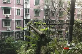 长沙中建桂苑被强制断电12小时的背后 业主和物业成“冤家”图片