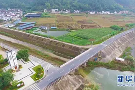 九岭村：看得到乡景 记得住乡愁图片