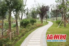 宝应一纵河公园成新城居民福利 环境变美可跳广场舞图片