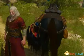 巫师3狂猎 1.22萝卜没尾巴解决方法 马没尾巴怎么办图片