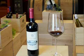 法国之光凯宴干红葡萄酒