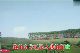 和你在一起-天天快乐！视频封面