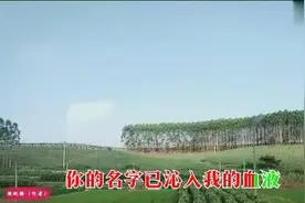 和你在一起-天天快乐！视频封面