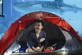 父亲节想讨下爸爸欢心？不妨带他们这样玩！图片