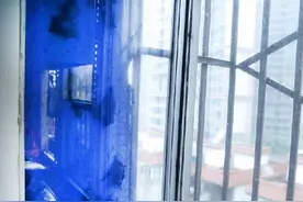 惊悚！上百只蝙蝠夜闯西安飞天花园小区图片